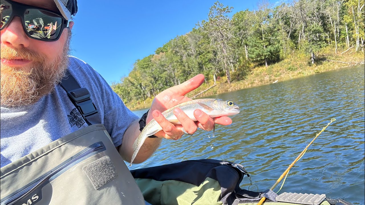 Up north Michigan late September trout.
