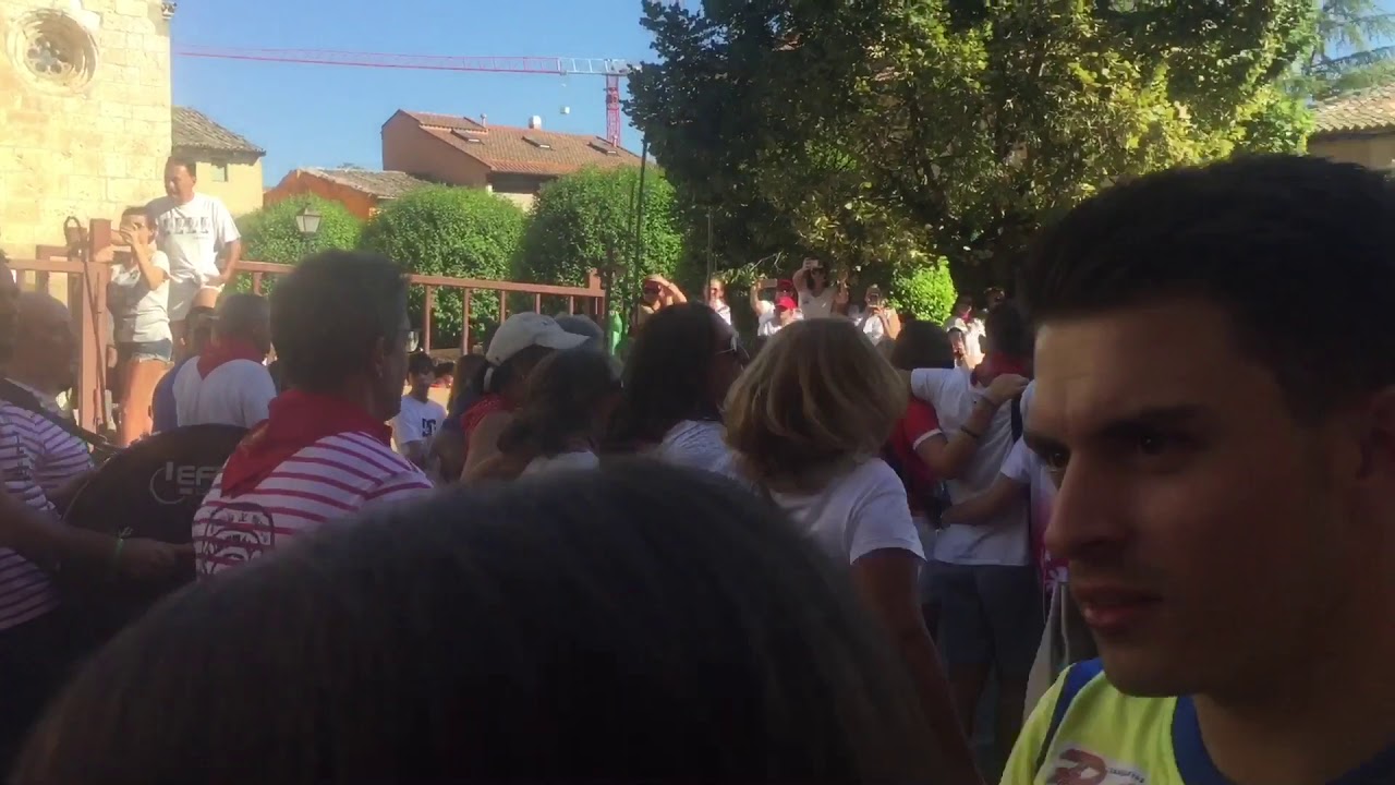 Brihuega encierro 2019