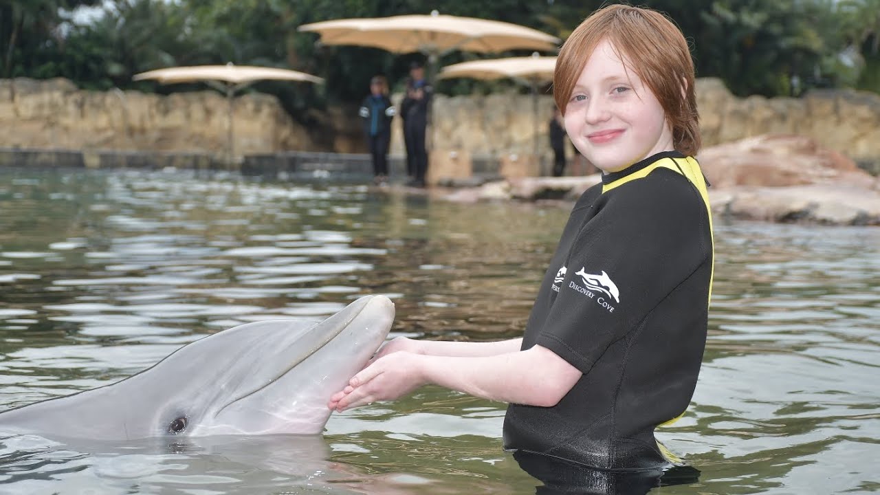 November at Discovery Cove Florida, Elite Cabana Tour, Swimming with Dolphins & 1st time Snorkeling!