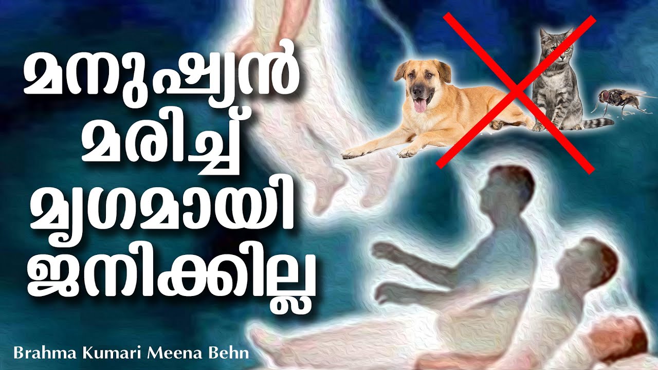 മനുഷ്യന്‍ മരിച്ചു മൃഗമായി ജനിക്കുമോ ?  After Death revealed - 2