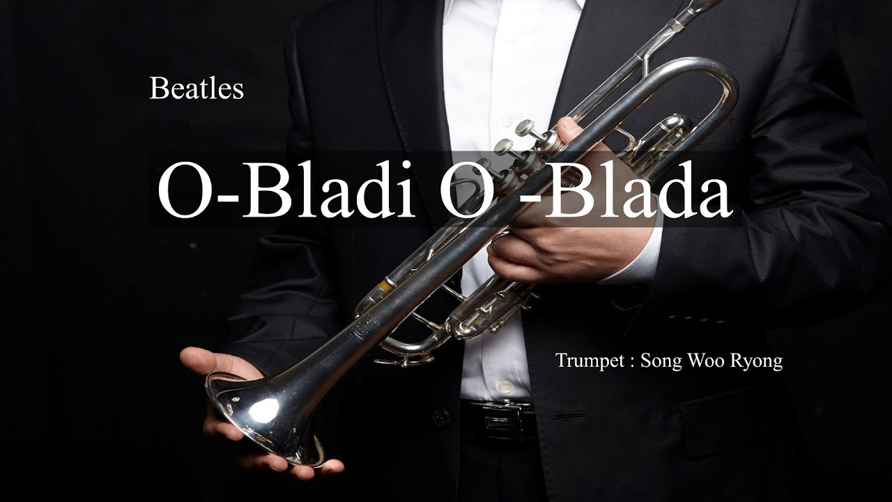 O-bladi O-blada  /Beatles /Trumpet Cover/송우룡