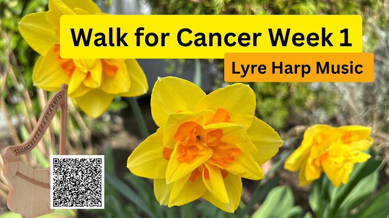Walk for Cancer Week 1 Lyre Harp Music -Featuring Roosebeck Lute Harp
