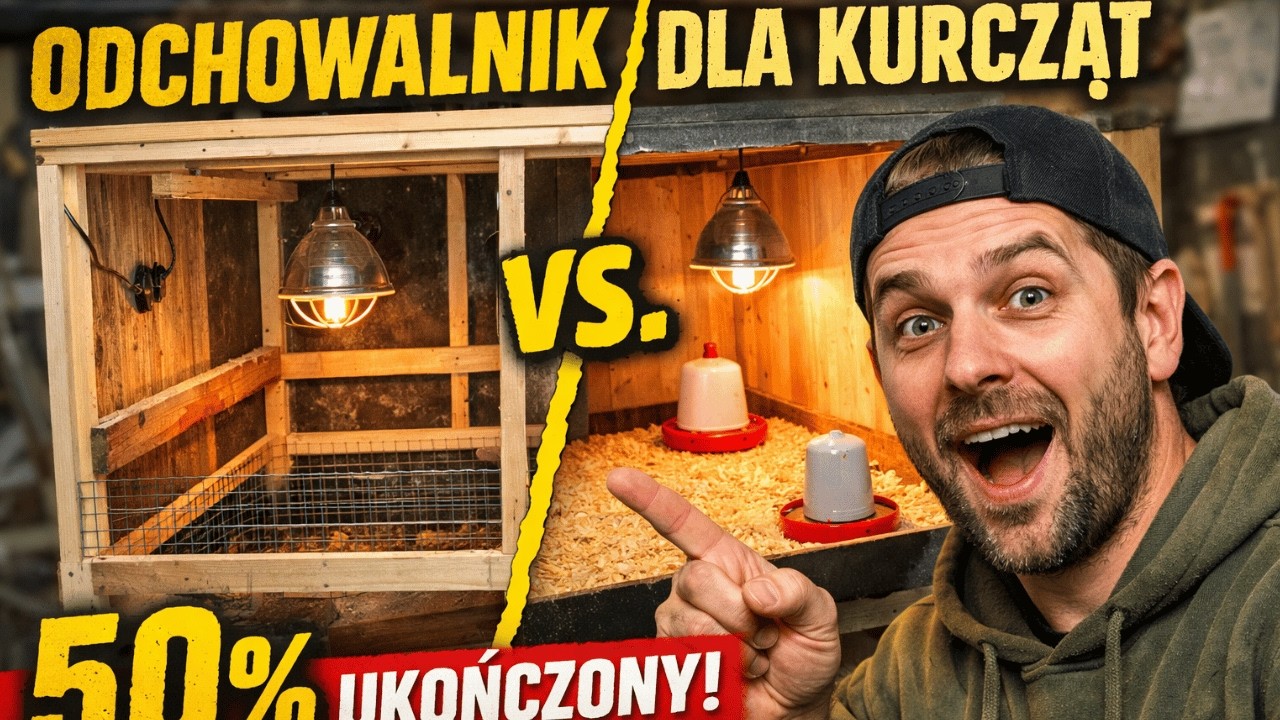 ZBUDOWAŁEM POŁOWE ODCHOWALNIKA😨 (co dalej?)