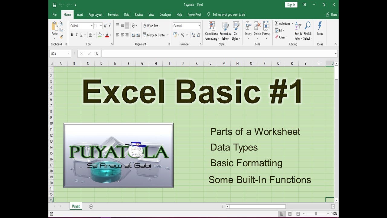 Excel Basic #1   Introduction, Data Types, Formatting (Tagalog)