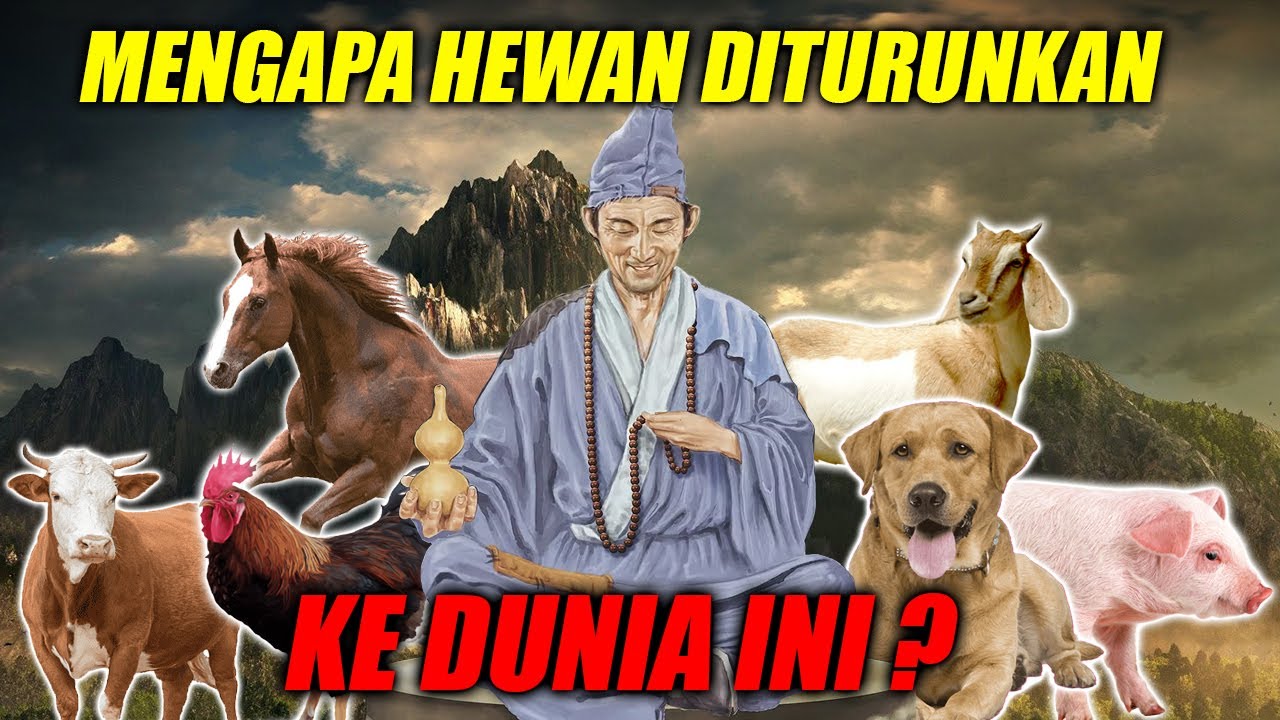WEJANGAN BUDDHA CHI KUNG! INILAH SEBABNYA HEWAN DITURUNKAN KEDUNIA! Kebenaran kehidupan