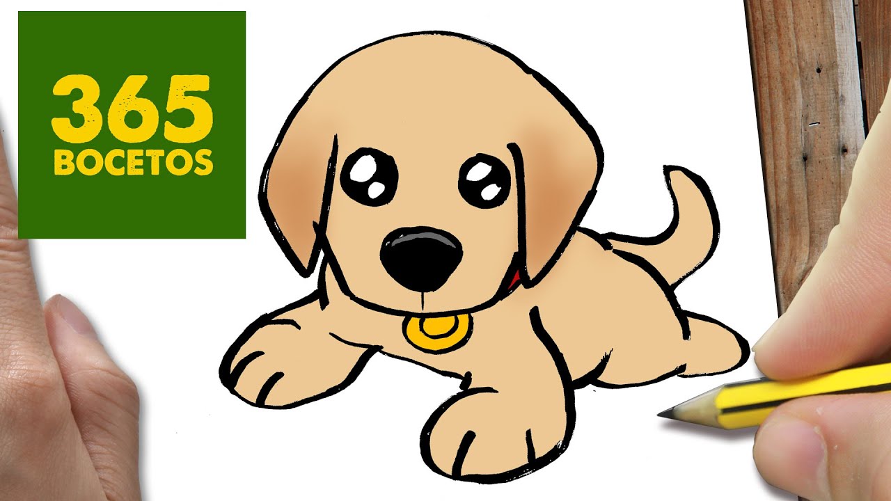 COMO DIBUJAR UN PERRO LABRADOR PASO A PASO: Os ense&ntilde;amos a dibujar un perro f&aacute;cil para ni&ntilde;os
