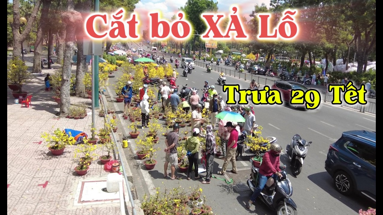 Chợ Hoa xuân ở Sài Gòn, 12 giờ Trưa 29 Tết CẮT bỏ xả lỗ về QUÊ Ăn tết
