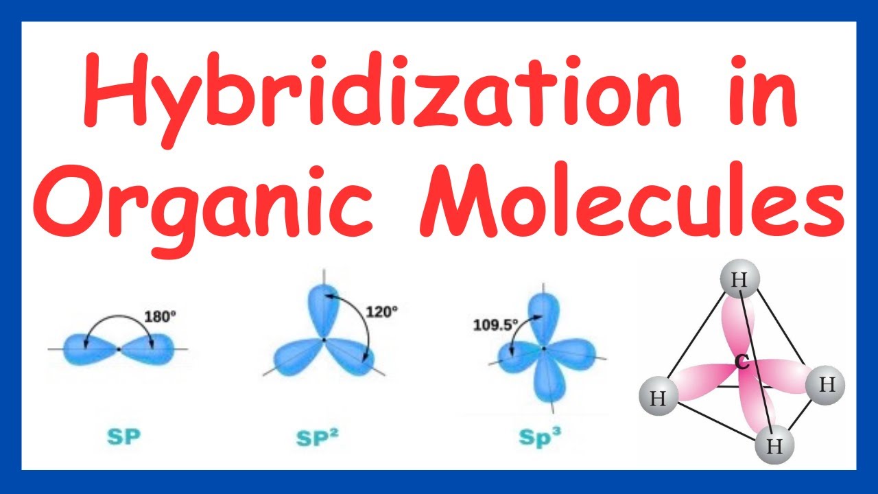 Hybridization in Organic Molecules |#chemclasses