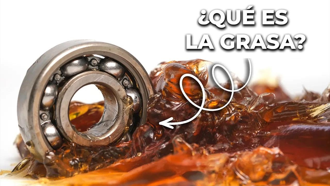 ¿Qué es la grasa y por qué es tan importante?