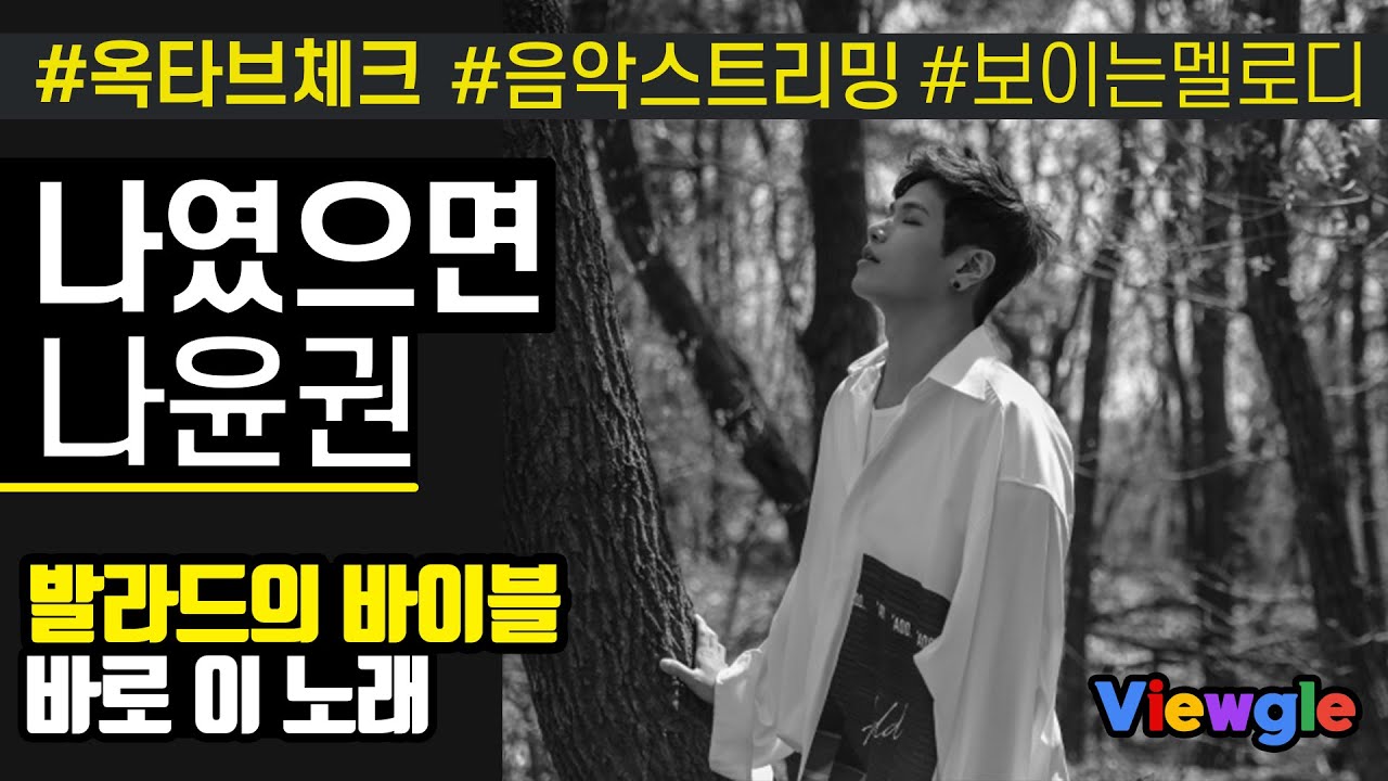 [보이는 멜로디] 나윤권 - 나였으면 옥타브 체크