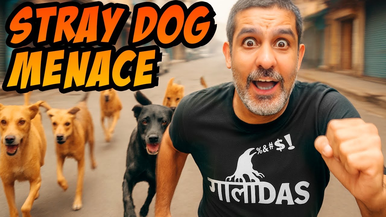 Stray Dog Menace