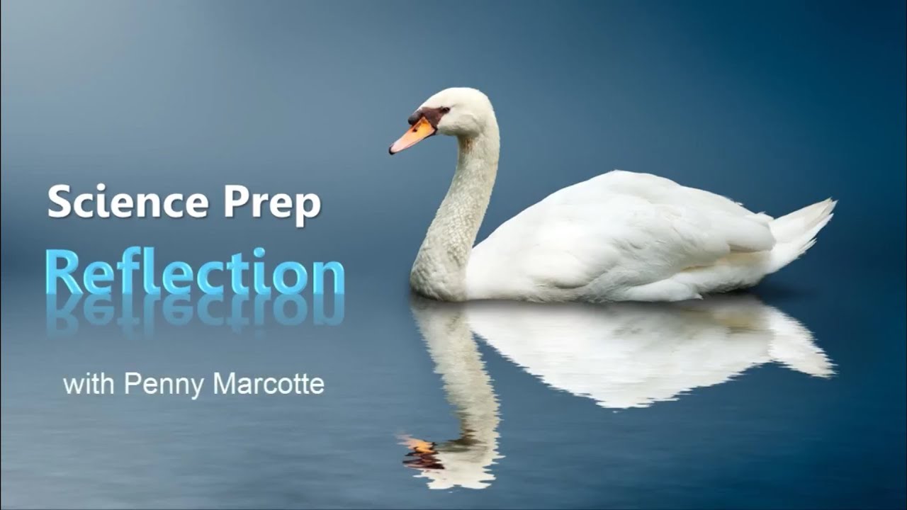 Science Prep Course Physics: Lesson 3 -  Reflection