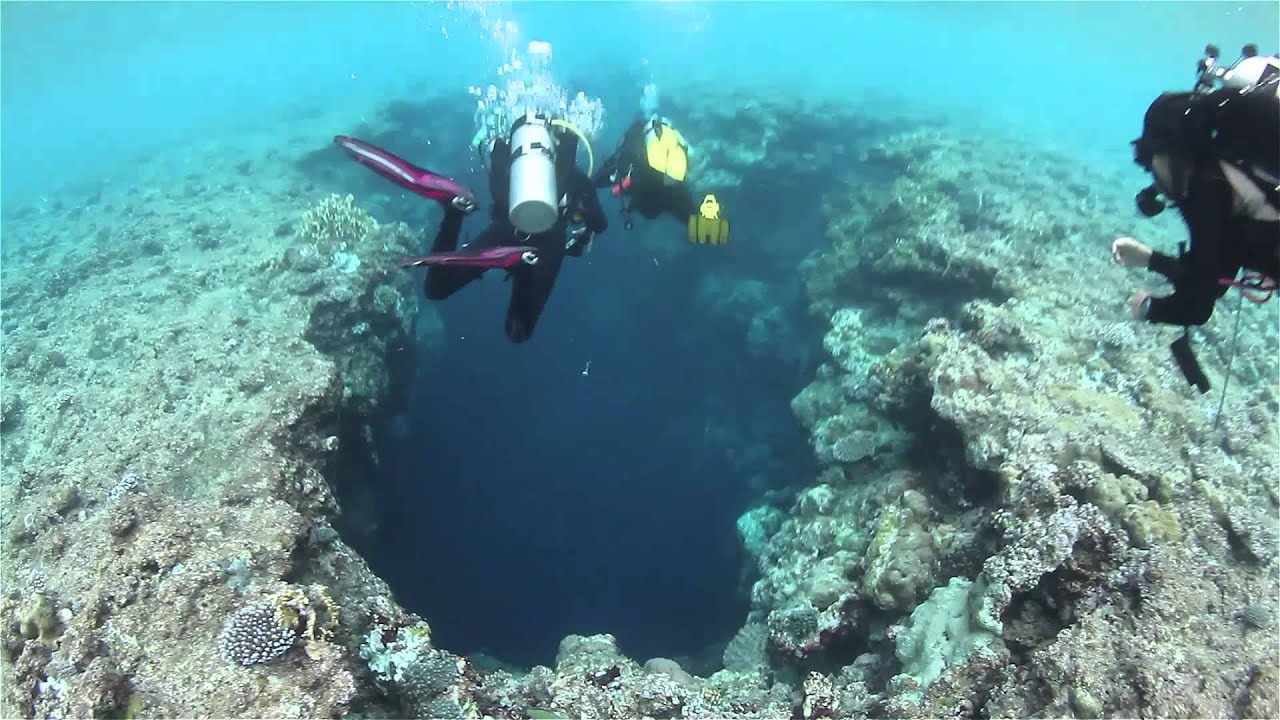 Diving Palau 2013