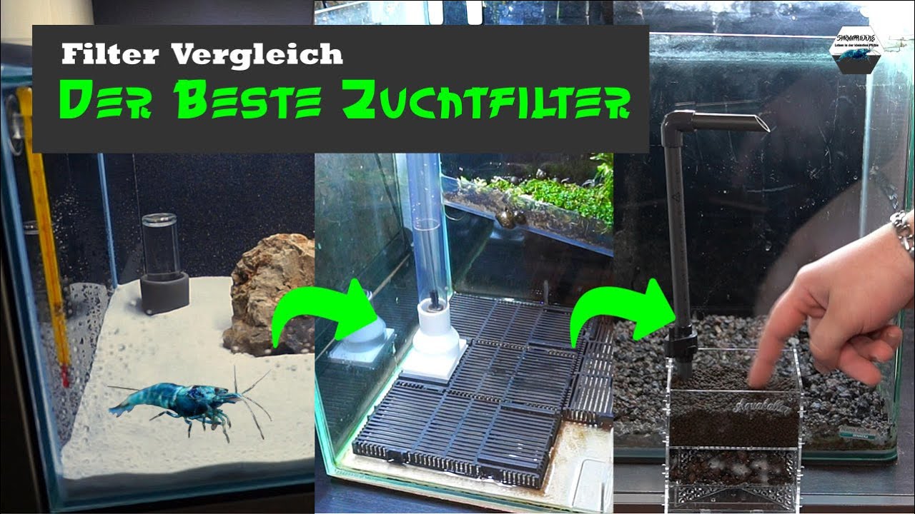 Schwammfilter vs. Bodenfilter vs. UGF Box / Der Beste Zuchtfilter