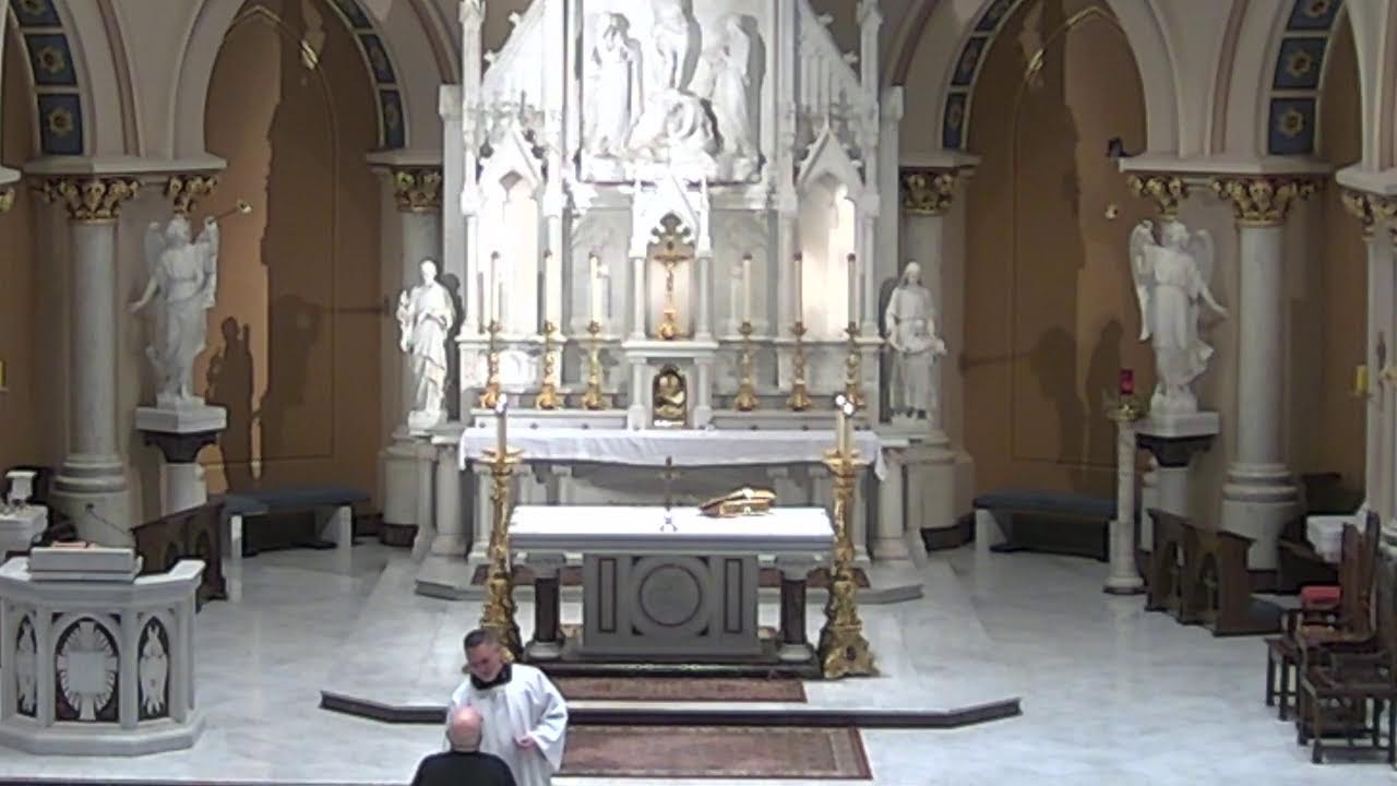 Tuesday Feb 10 2026 Daily Mass
