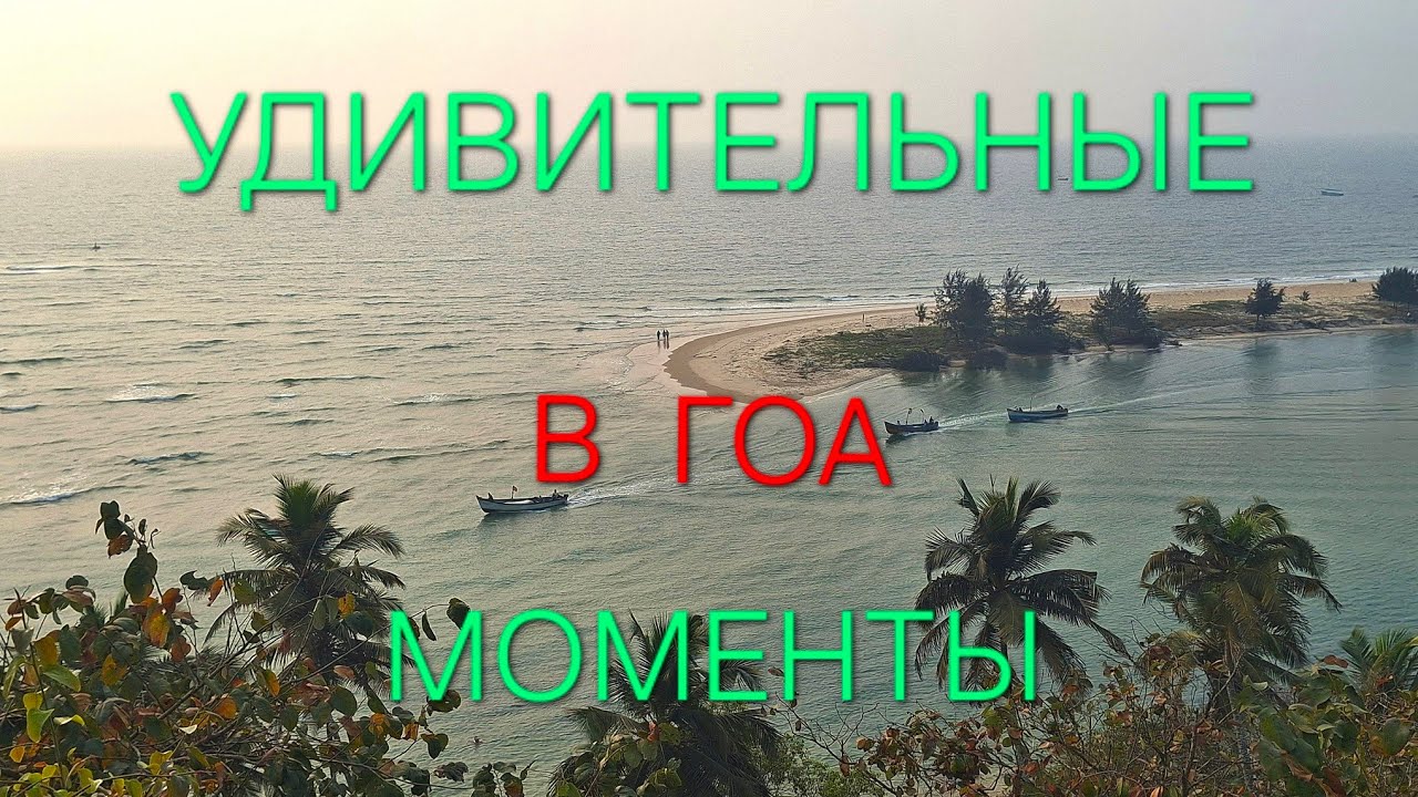 Гоа Март''26/УДИВИТЕЛЬНЫЕ МОМЕНТЫ🌴🌊🐒🦜🥭