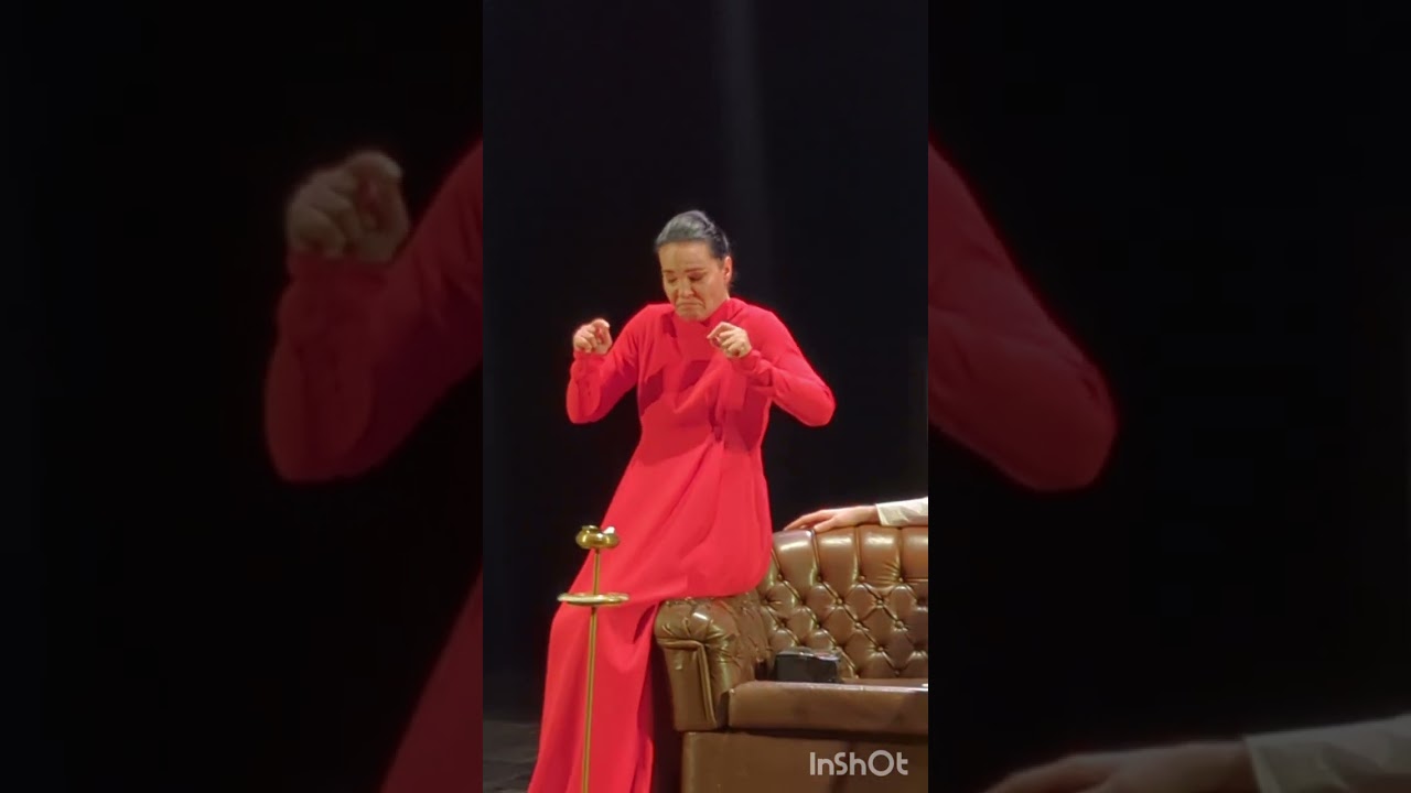 თოლია 🤍