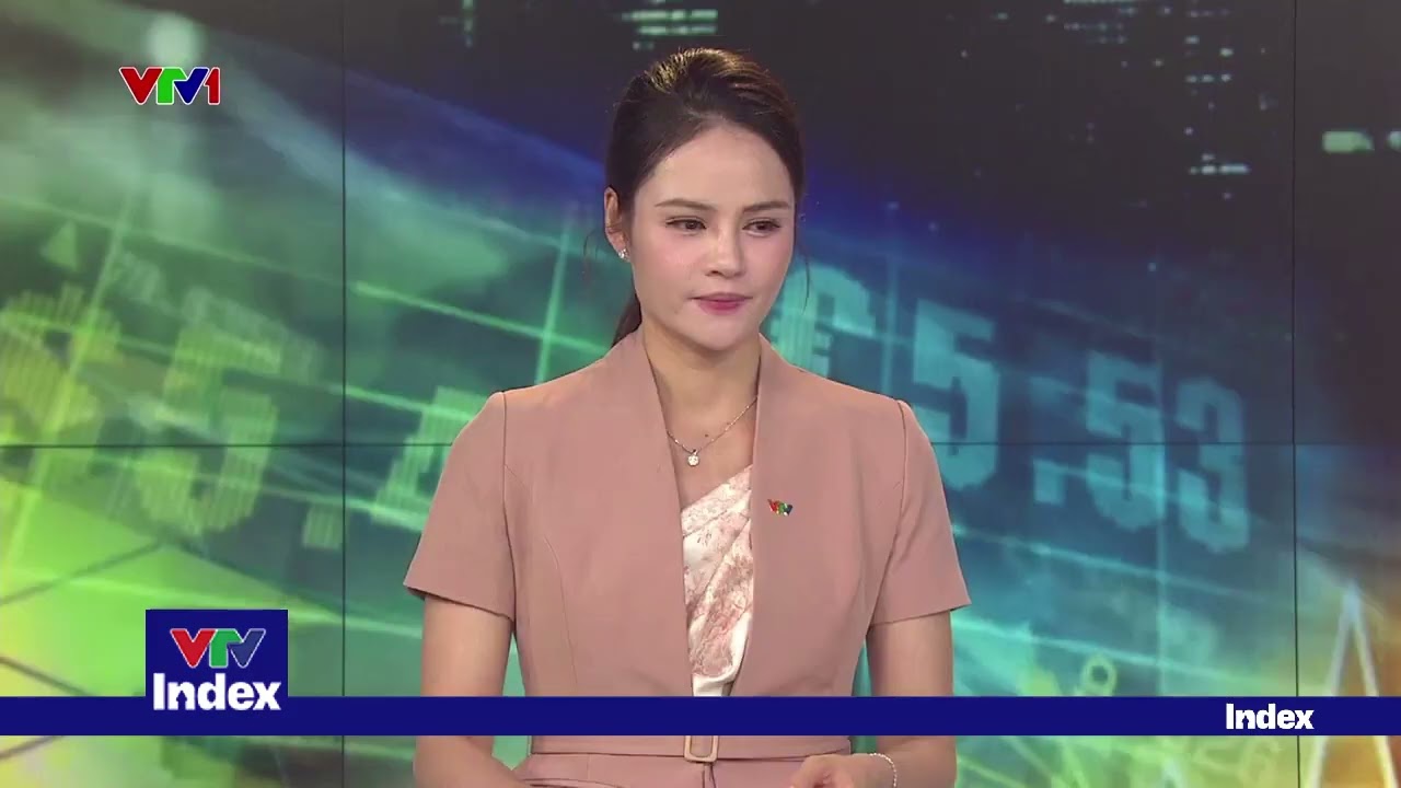 [TÀI CHÍNH KINH DOANH] Rà soát tình trạng không khai báo đầy đủ doanh thu cho thuê nhà | VTVIndex