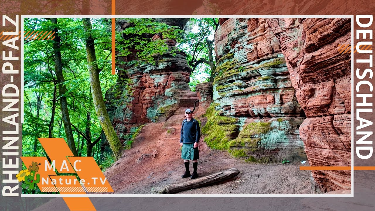 Acht Tage im Mai auf Tour im Pfälzer Wald 🌿 Burgen, Felsen & Frühlingszauber