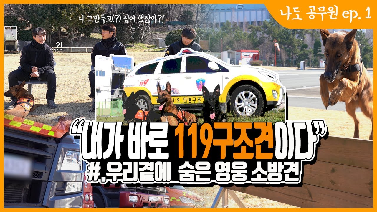 열 명이 넘는 사람들의 생명을 구조한 소방 구조견 |  소방 구조견 훈련 | 부산소방재난본부 특수구조대 | 3개월 차 핸들러 | 나는 공무원이다 소방견 ep.1