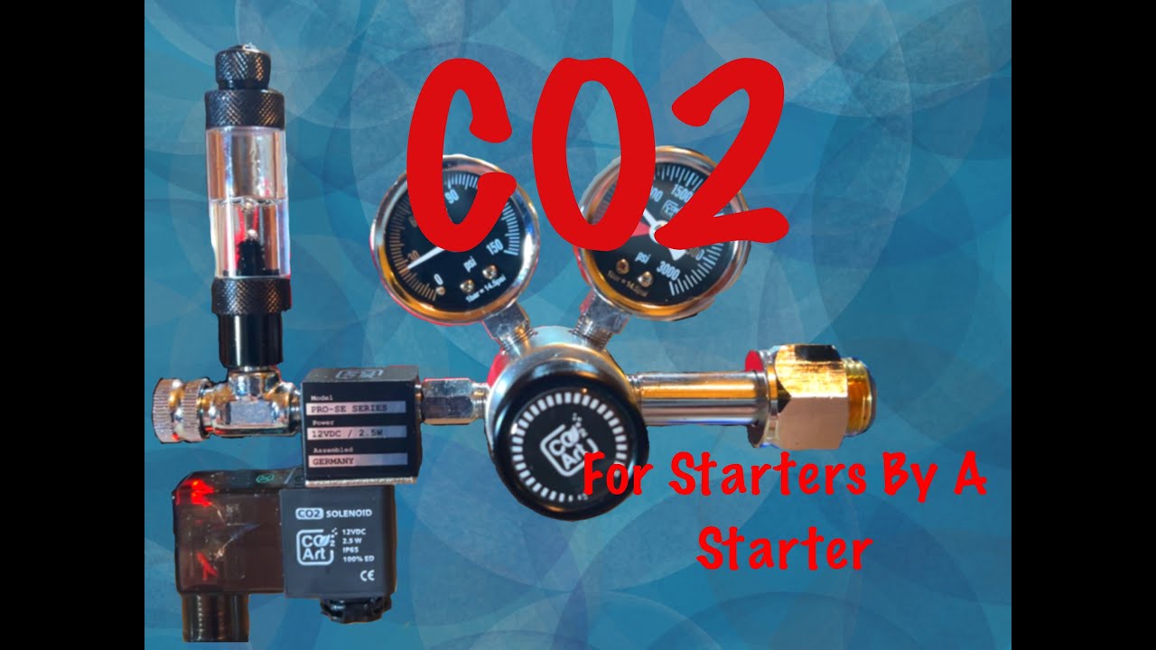 Step By Step Guide: How To Set Up CO2 For Planted Aquarium (CO2 Art Regulator)