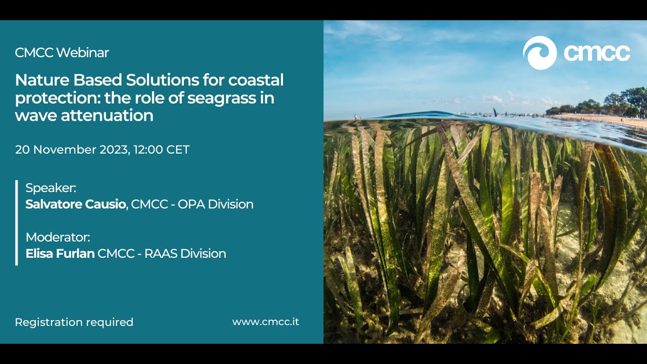 Nature Based Solutions for coastal protection: the role of seagrass in wave attenuation