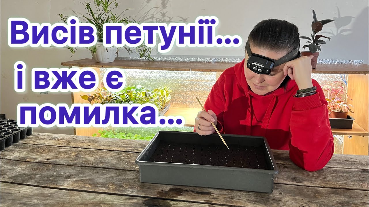 Висів петунії. І вже є помилка