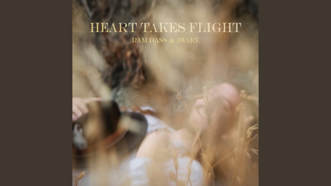 Heart Takes Flight