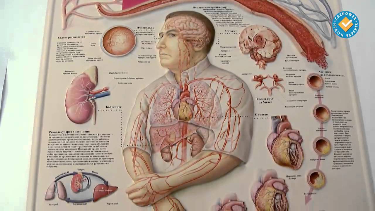 Исхемичната болест на сърцето засяга все повече млади хора