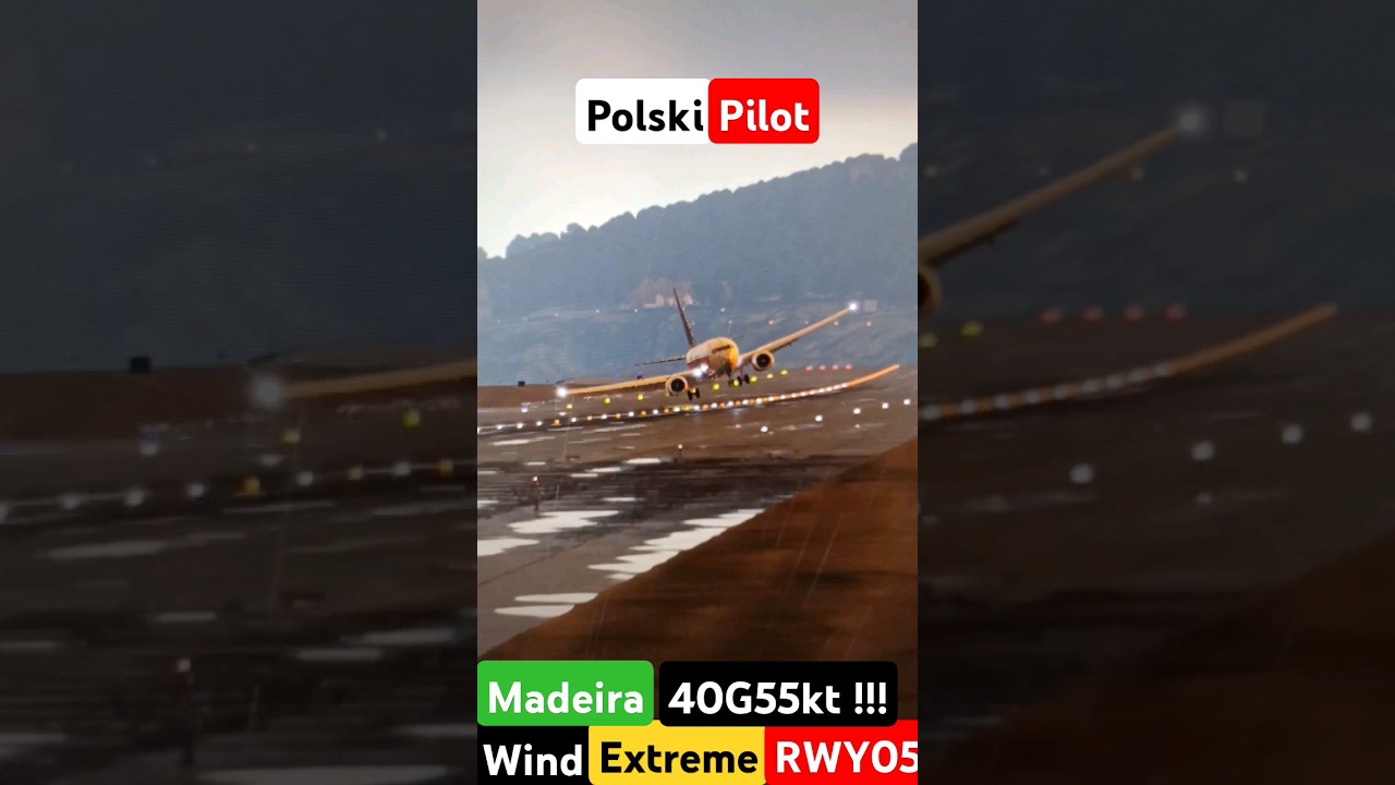 Absolutely Insane skill Landing st Madeira airport out of wind limit #shorts