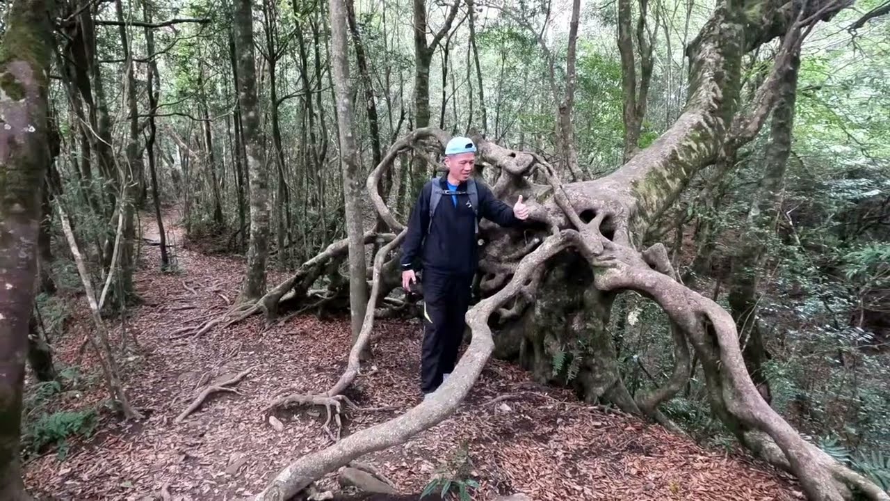 251211北得拉曼山