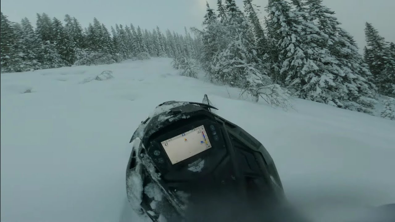 Polaris Khaos 9R 146 Tree riding
