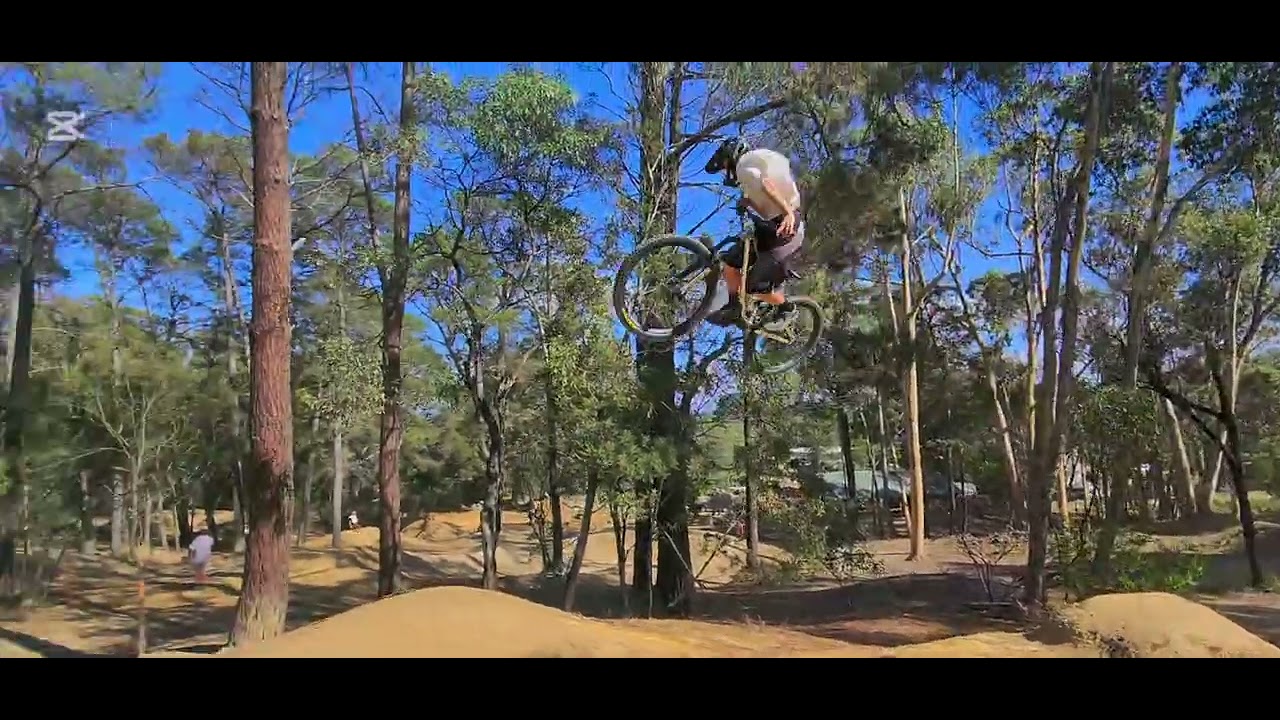 Steezy day at Anglesea with the boys