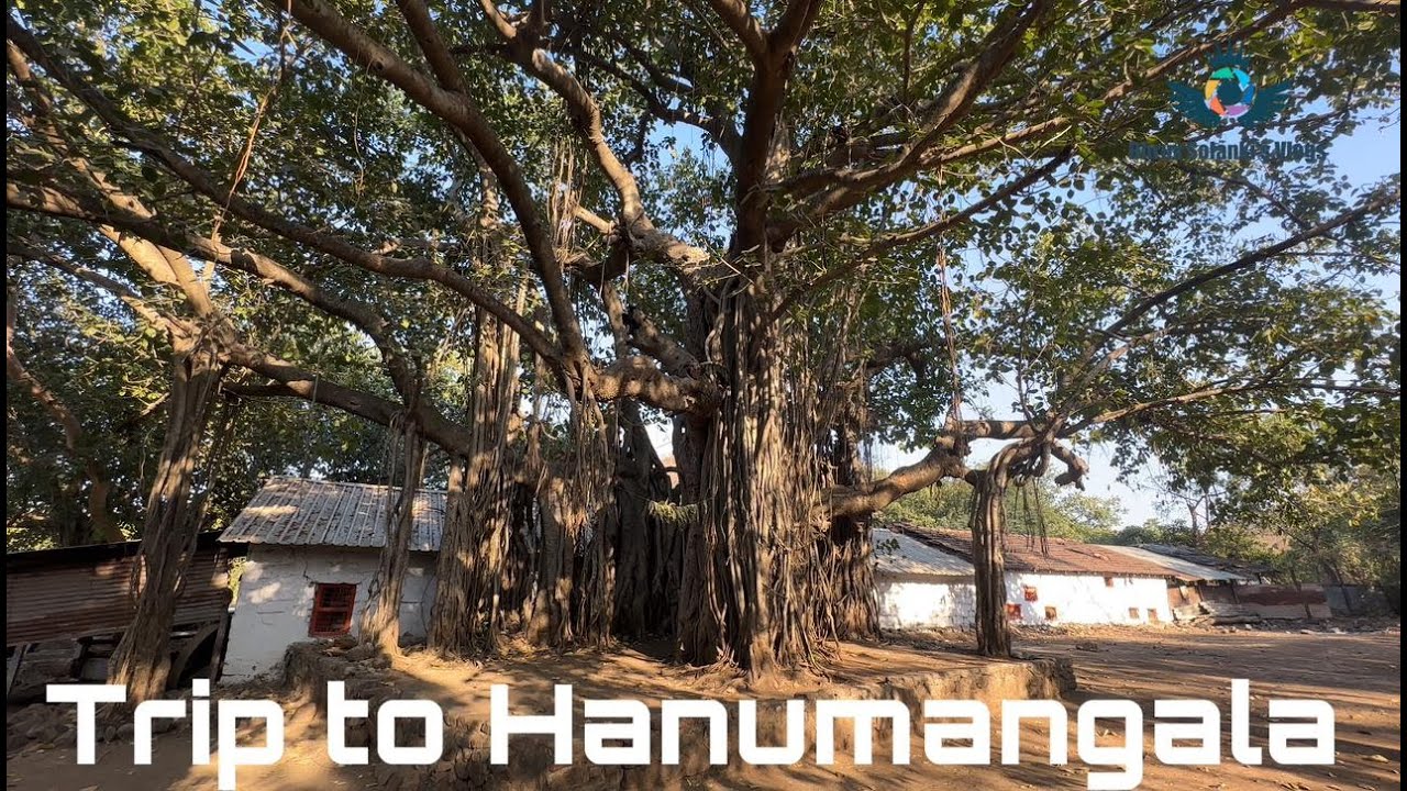 Trip to Hanumangala #girforest #gujarattourism #hanumantemple #diu #mountainview #roadtrip #2024