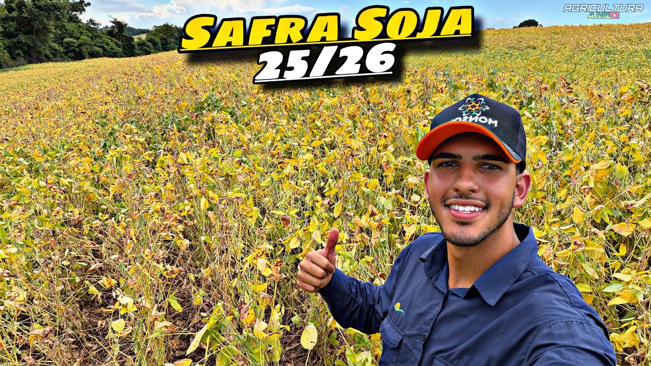 A COLHEITA NO PARANÁ VAI COMEÇAR 🙏🏼🤠🇧🇷!! Ep 01
