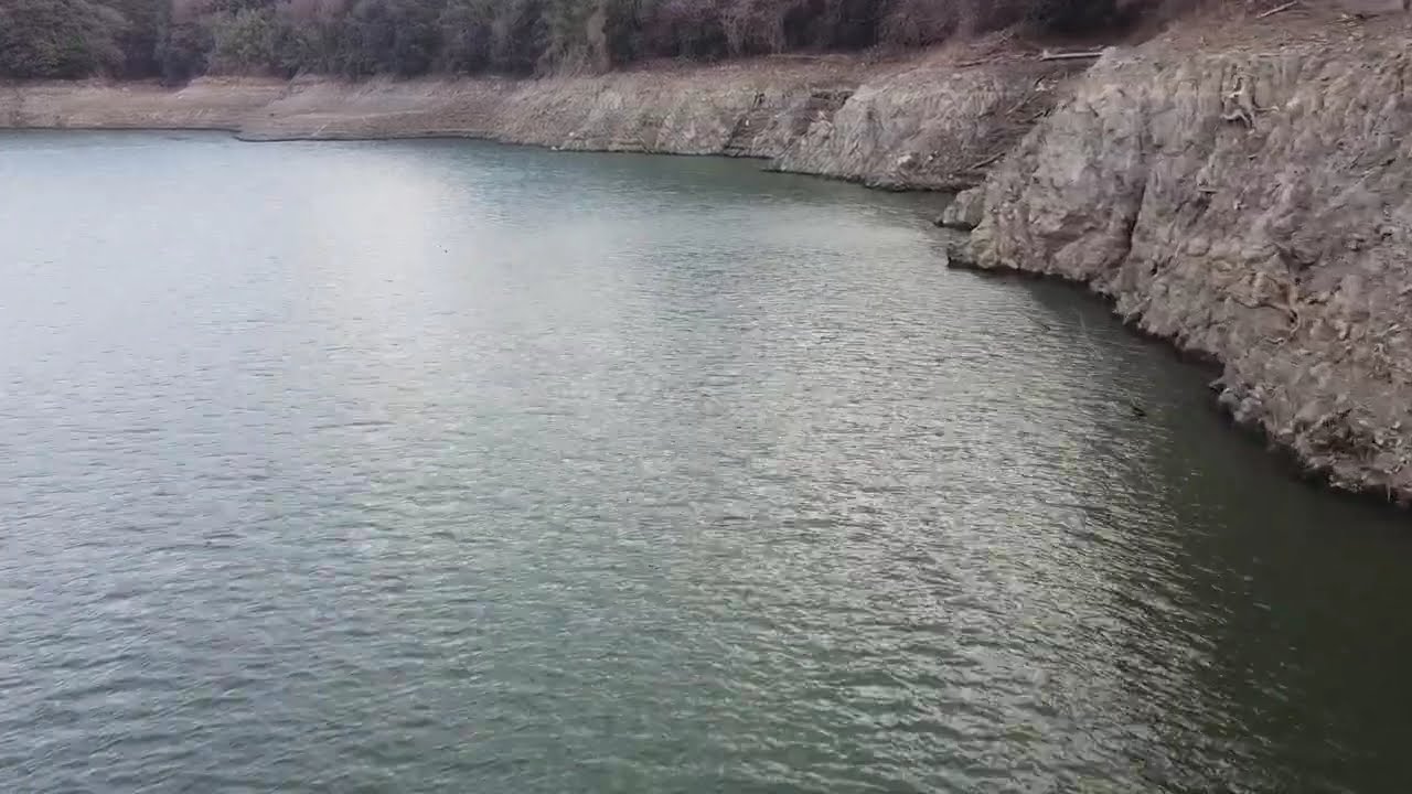 2026津久井湖