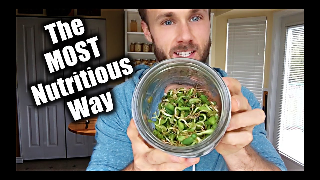Boost Nutrition by Sprouting | Absorb More!