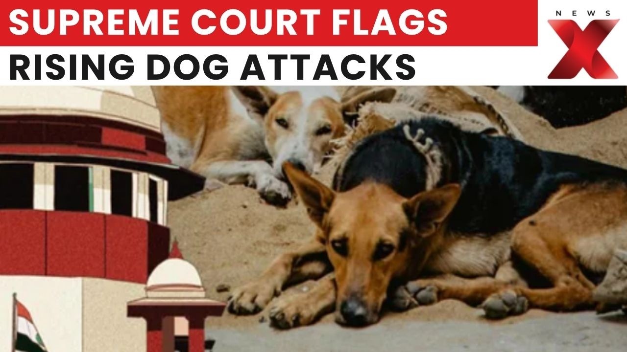 SC Flags Rising Stray Dog Attacks | Supreme Court Slams Public Safety Lapses | NewsX