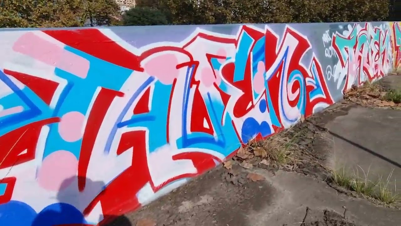 Sydney - Graffiti Wall - the domain - near Wooloomooloo.