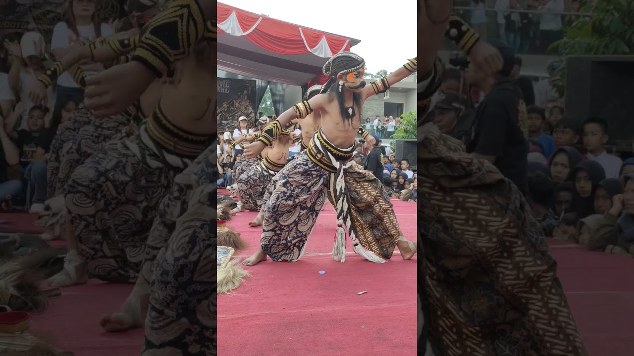 warok WCB junior #shorts #wcb #wcbnews