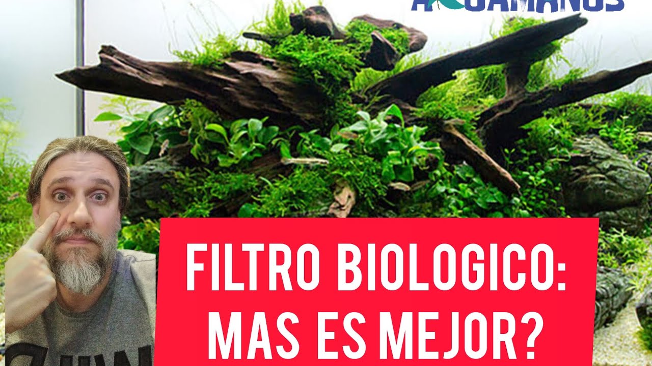 Filtración biológica... más es mejor? 🦠🦠🦠