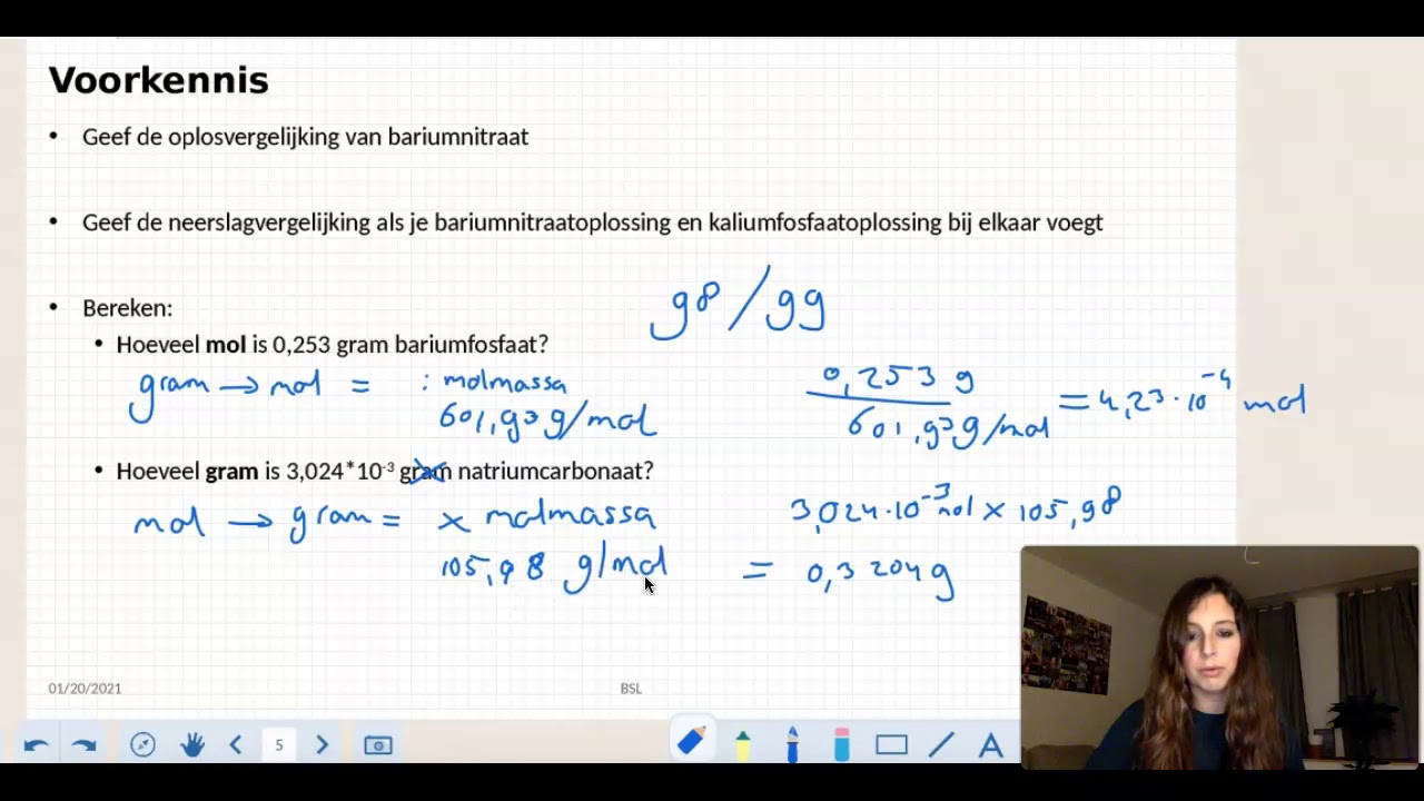 V4schk Chemie Overal 5.3 rekenen met reacties
