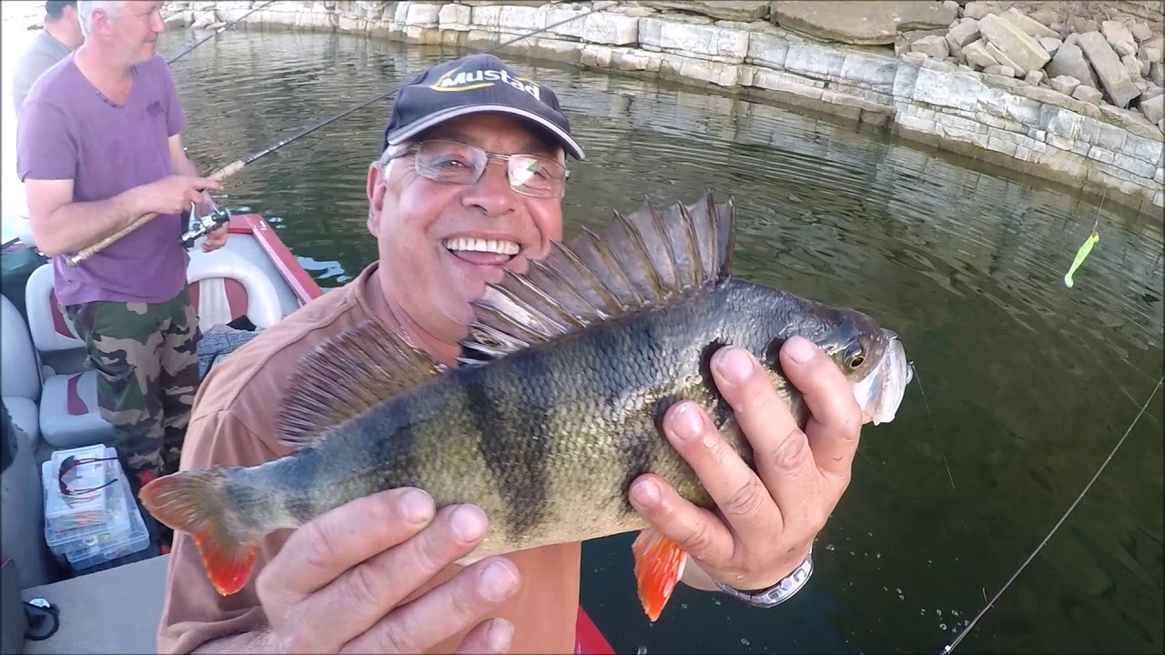 fayon fishing