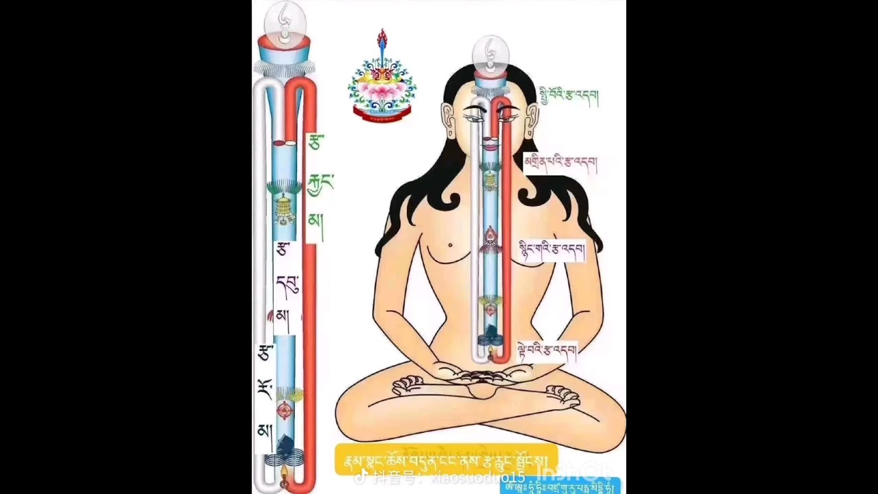 2བོད་ཀྱི་གསོ་རིག་ལས་ལུས་སེམས་གཉིས་ཀྱི་ངོས་འཛིན་དང་དེའི་གསོ་བཅོས་འབྲེལ་བའི་སྐོར་སྨན་པ་ཚེ་རིང་བསམ་གྲུབ