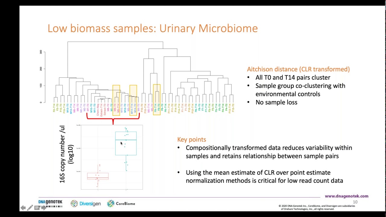 Compositional Data Analysis Approaches to Improve Microbiome Studies: from Collection to Conclusions