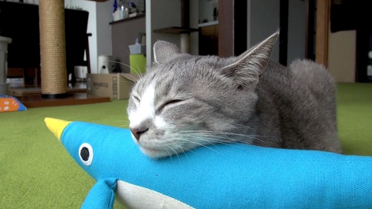 あごまくらの作り方 - Cats Neck Pillow -