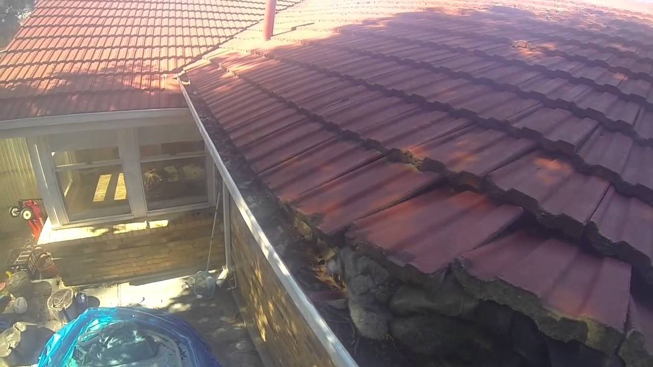 Possum - roof removal