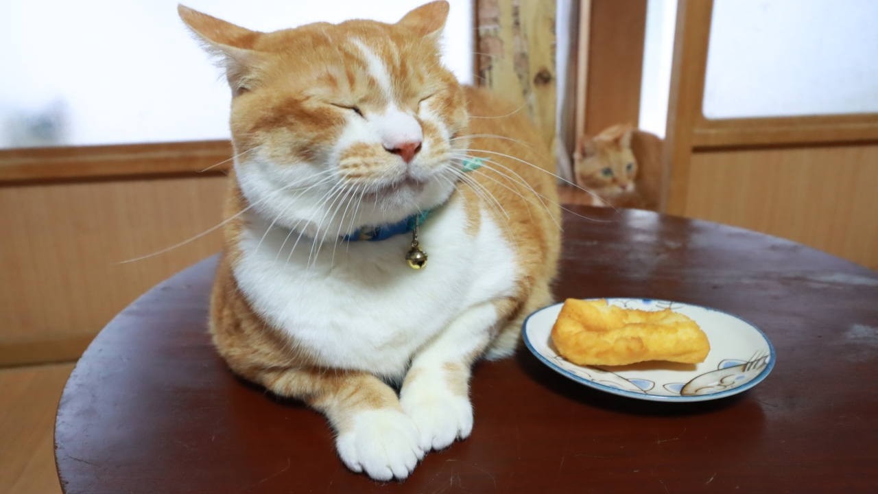 ちゃぶ台上のねじりドーナツ　260406