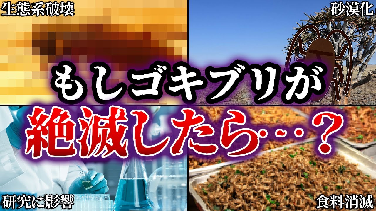 もしゴキブリが絶滅したらどうなる…？【ゆっくり解説】