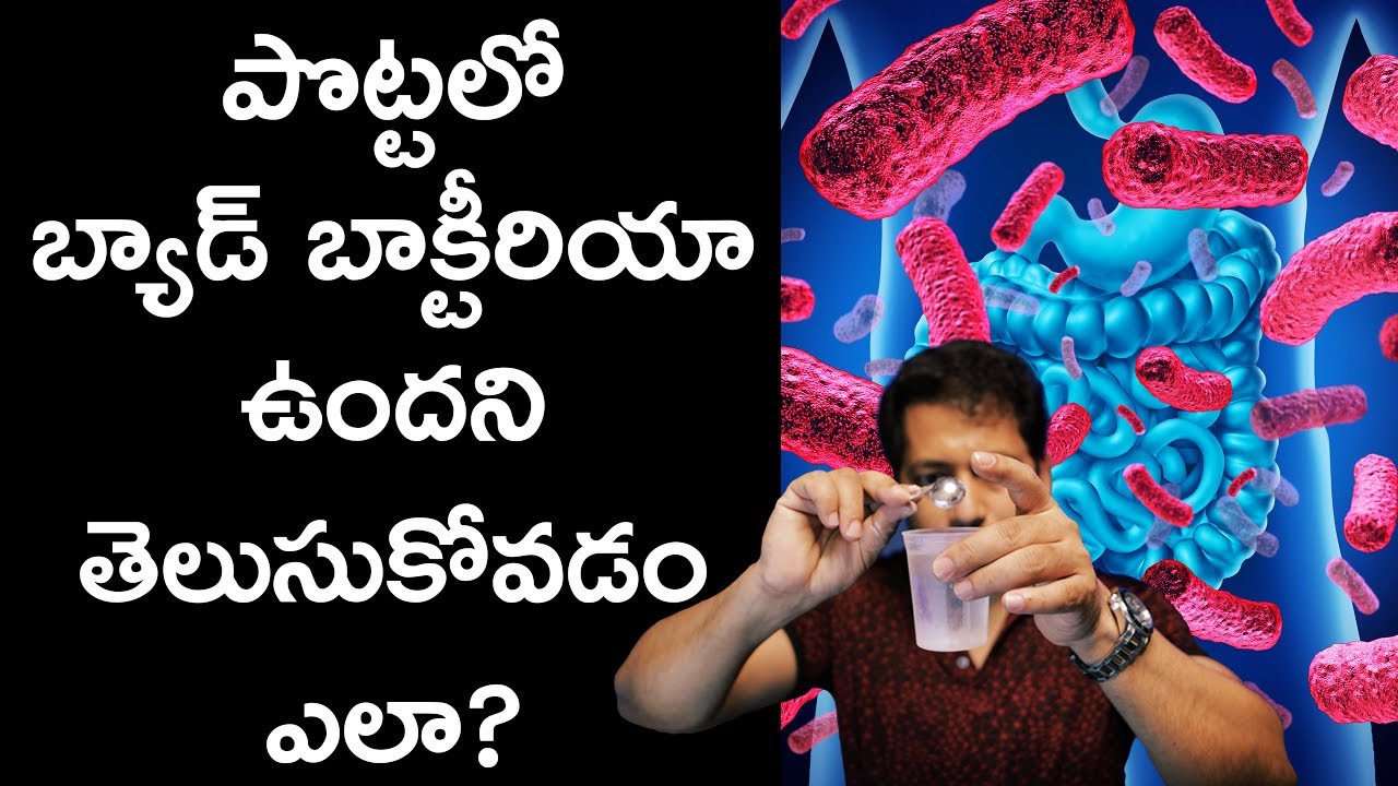 పొట్టలో బ్యాడ్ బాక్టీరియా ఉందని తెలుసుకోవడం ఎలా? How To Find Out That You Have Bad Gut Bacteria?